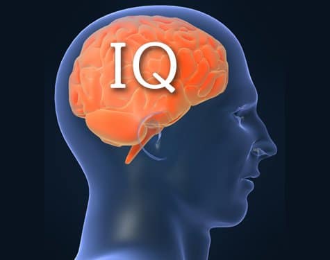 IQ چیست