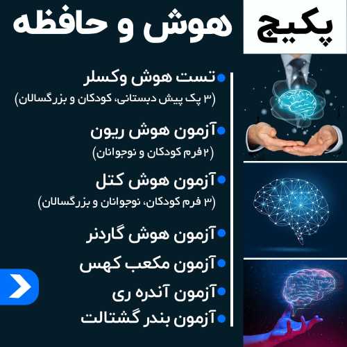 پکیج آموزشی تست هوش