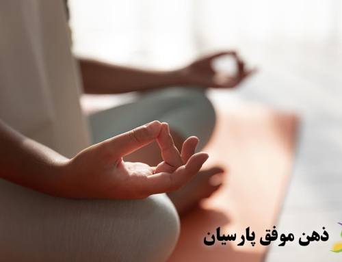 نظریه پلی واگال چیست